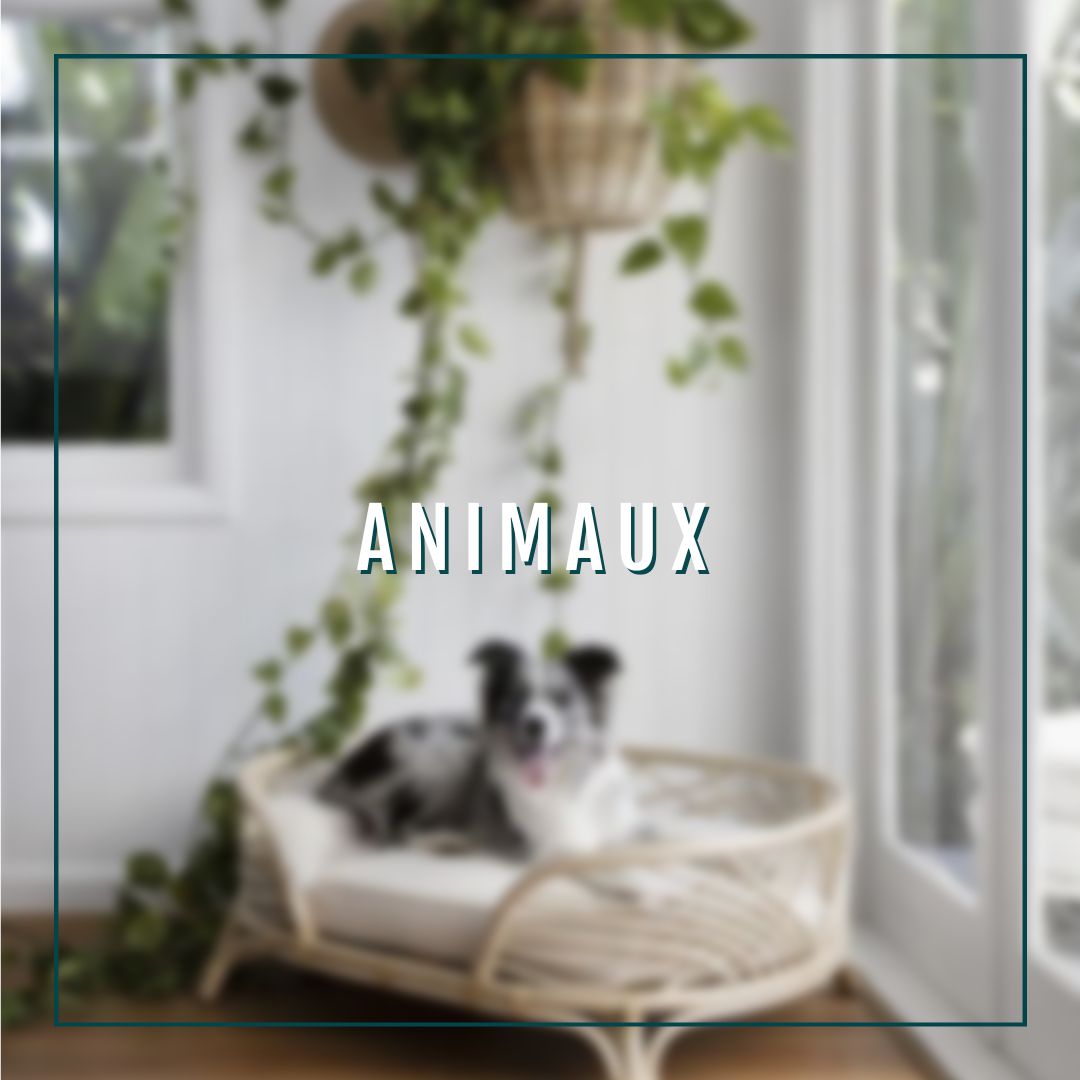 Animaux