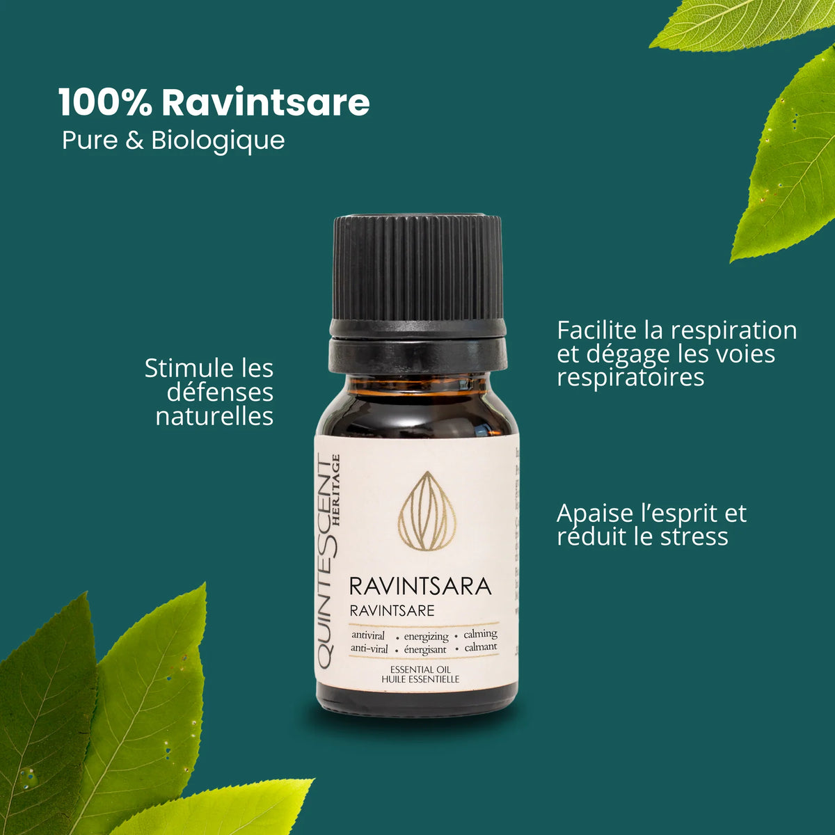 Huiles essentielles - Quintescent Heritage