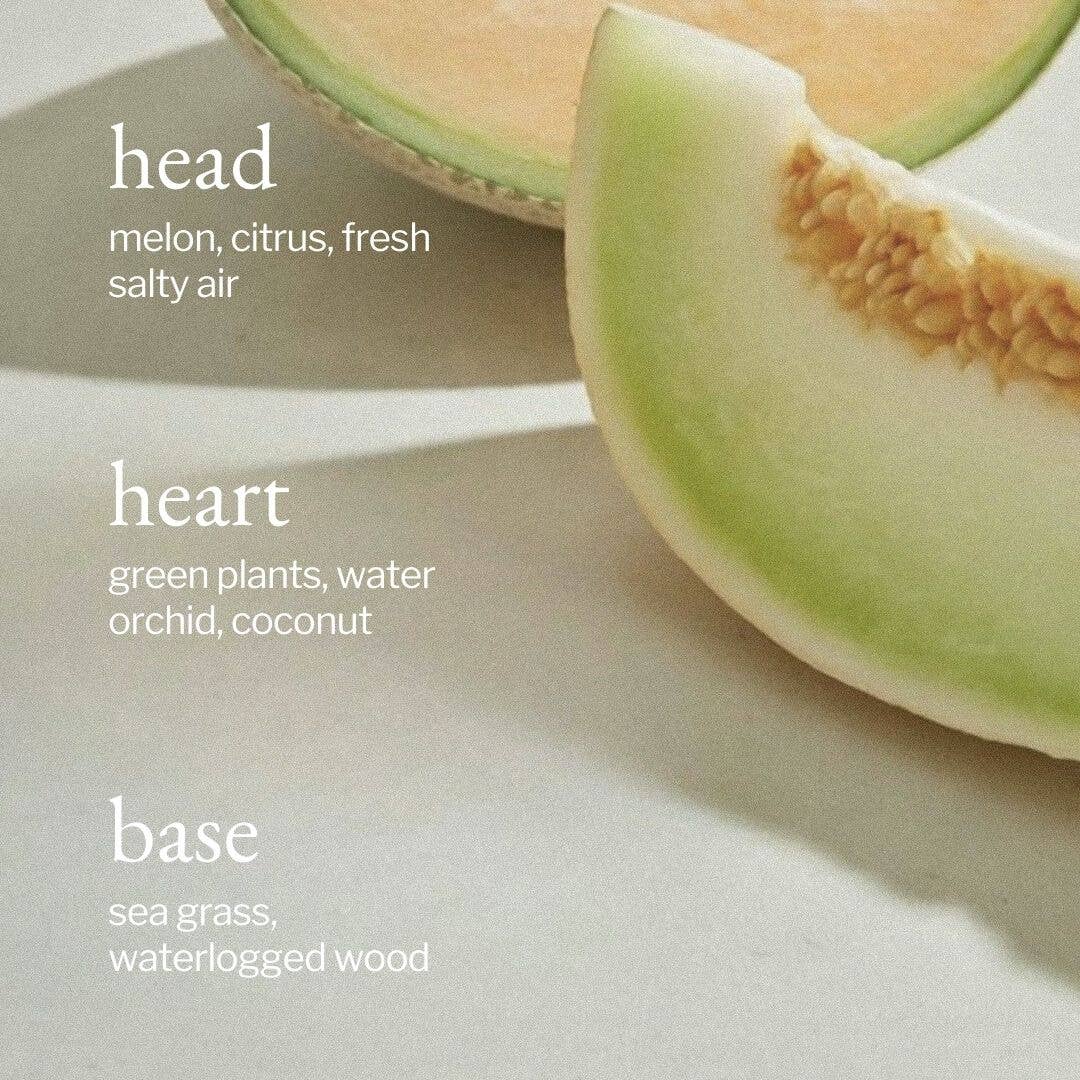 Diffuseur à roseaux | Melon + Air salin