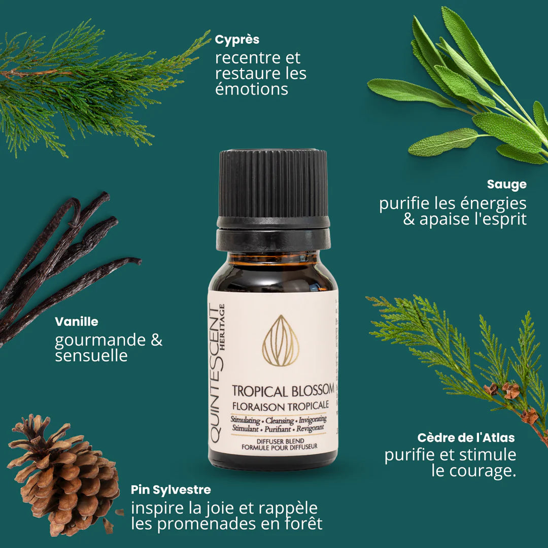 Huiles essentielles - Quintescent Heritage