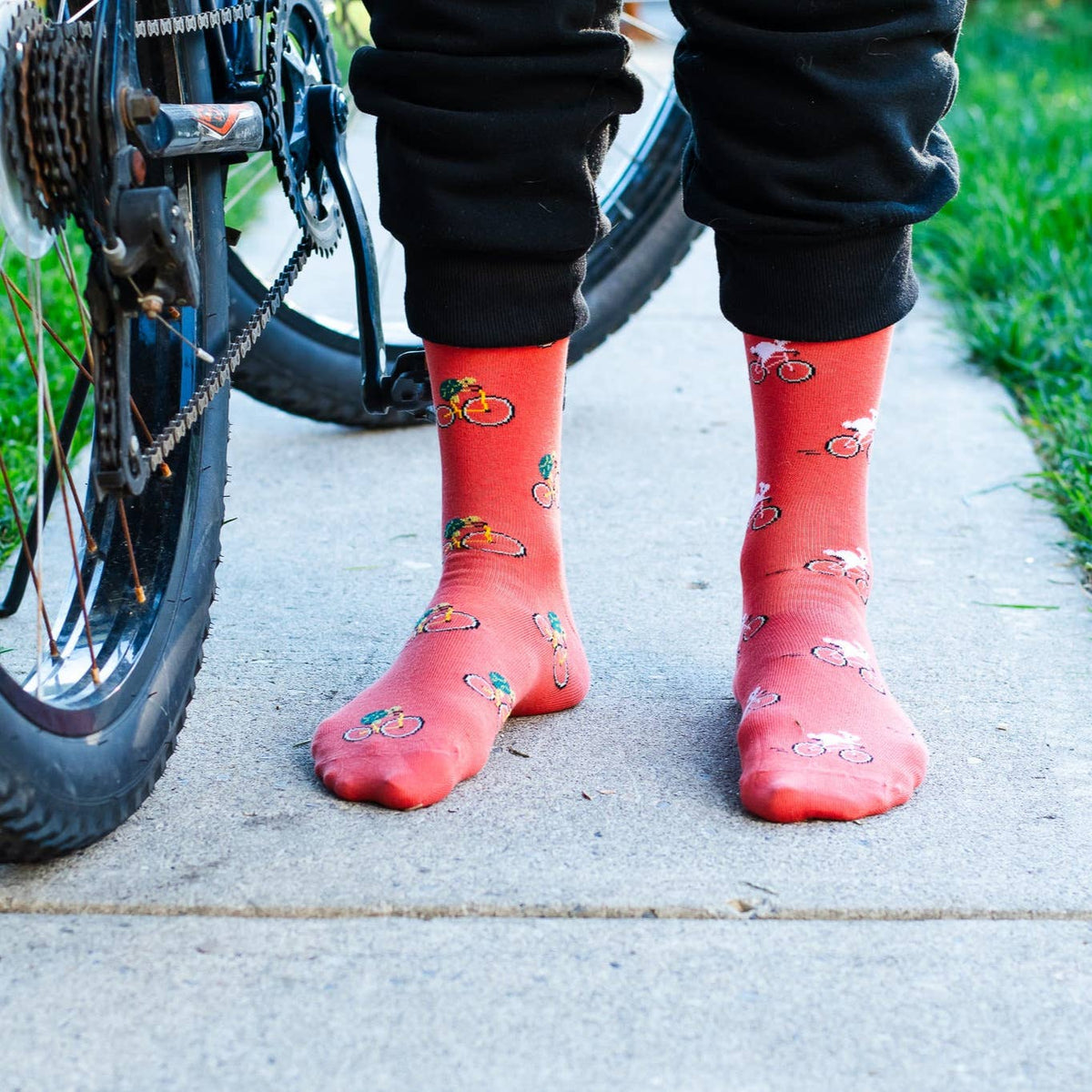 Chaussettes Turtle &amp; Bunny pour hommes