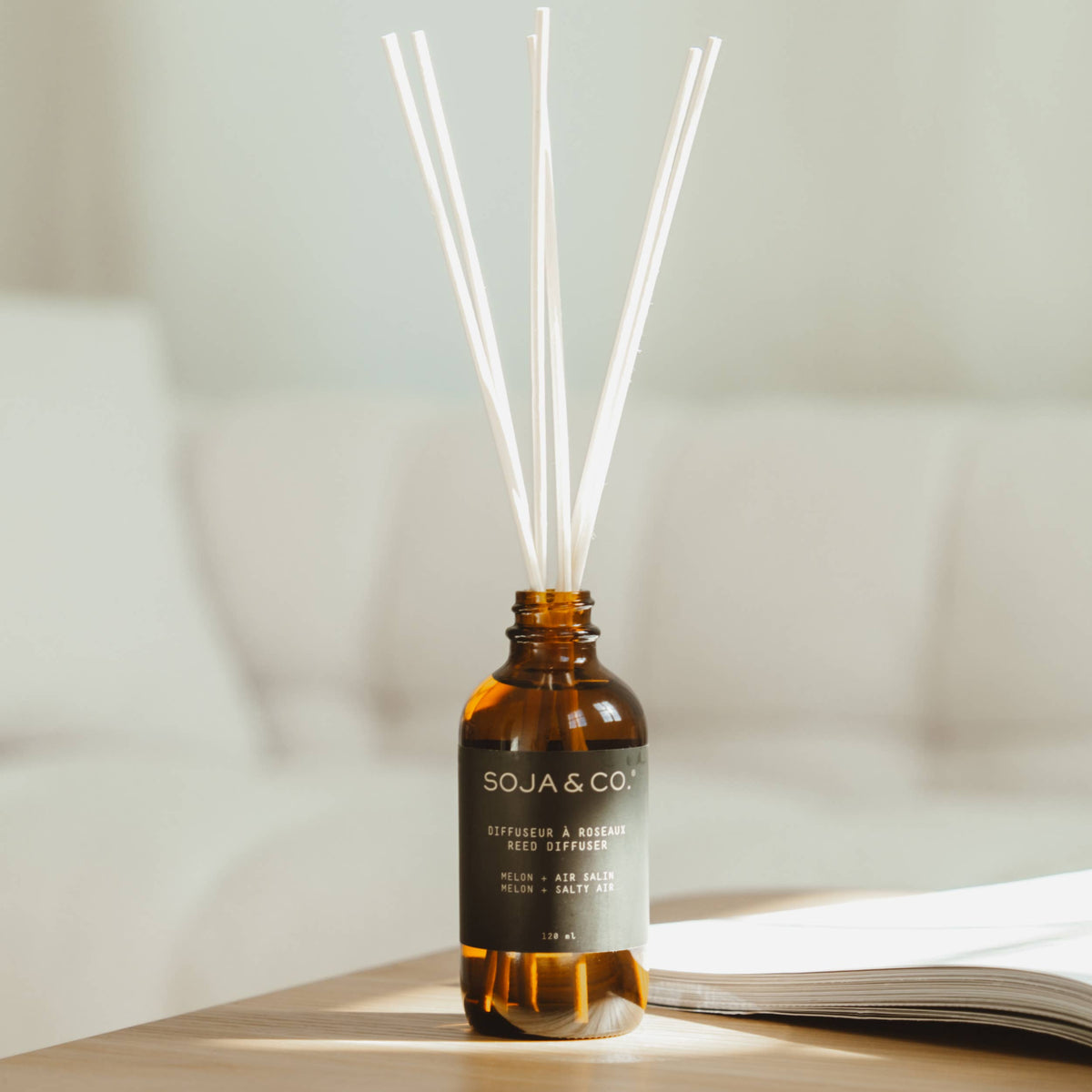 Diffuseur à roseaux | Melon + Air salin