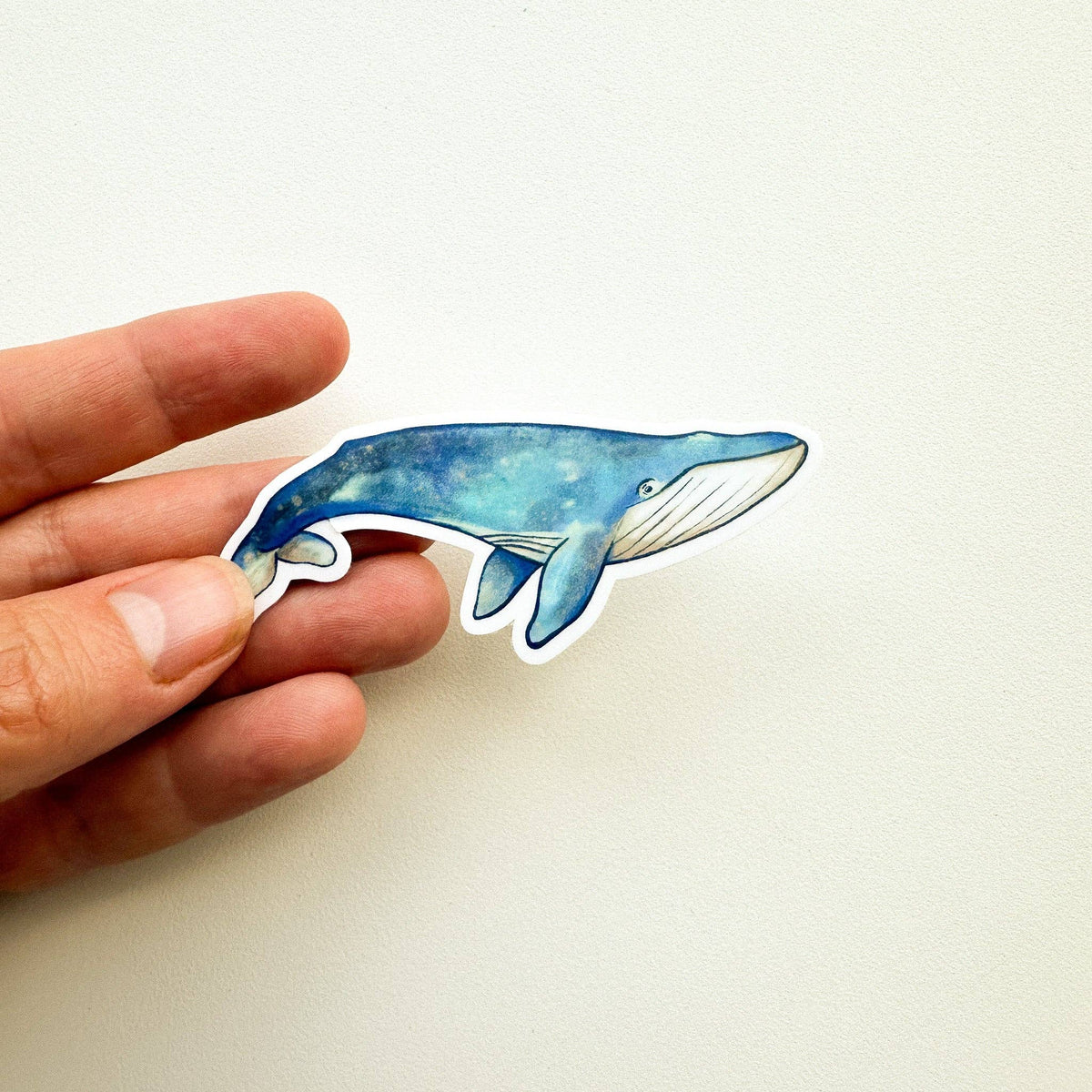 Autocollants - La baleine